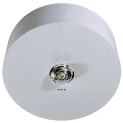 RP-Technik Sicherheitsleuchte ILDK423SC