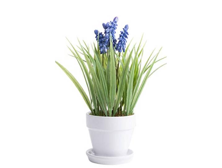 DPI künstliche Traubenhyazynthe im weißen Tontopf mit Untersetzer (lila-blau, ca. 26 cm hoch x ca. 18 cm breit, 1 stück)
