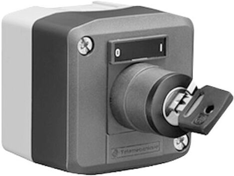 Schell Aufputz-Schlüsselschalter 015380099 230 V, IP 65, thermische Desinfektion