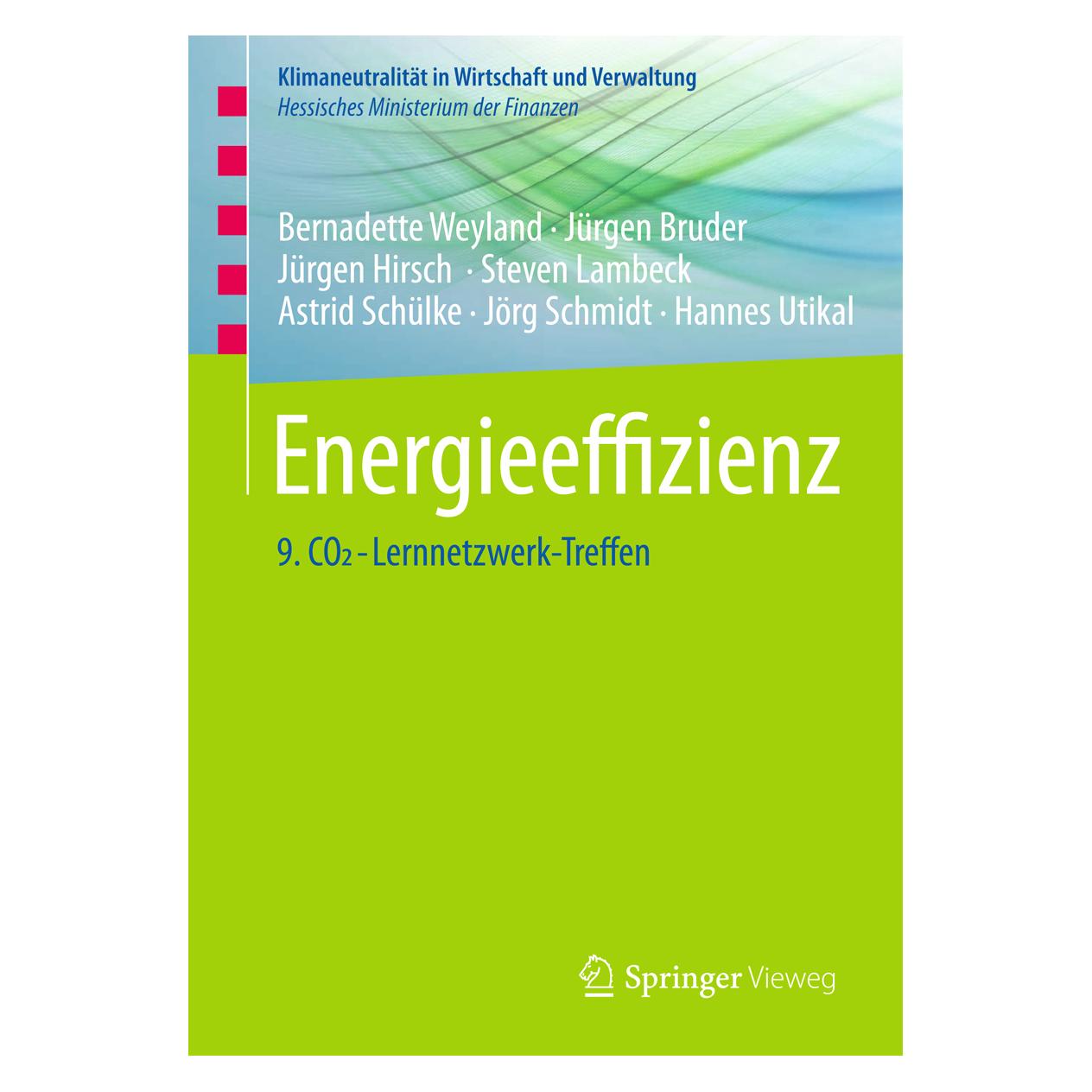 Springer Energieeffizienz (Deutsch, Softcover, Bernadette Weyland, Jürgen Bruder, Jürgen Hirsch) (55929960)