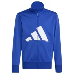 adidas Essentials Climacool Trainingsanzug Kinder - royblu/white