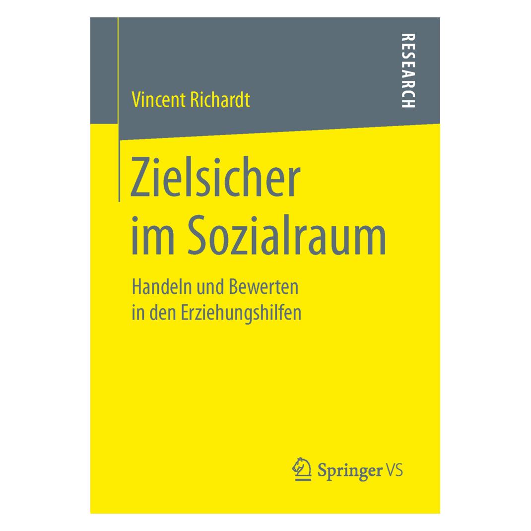 Springer Zielsicher im Sozialraum (Deutsch, Softcover, Vincent Richardt) (55831363)