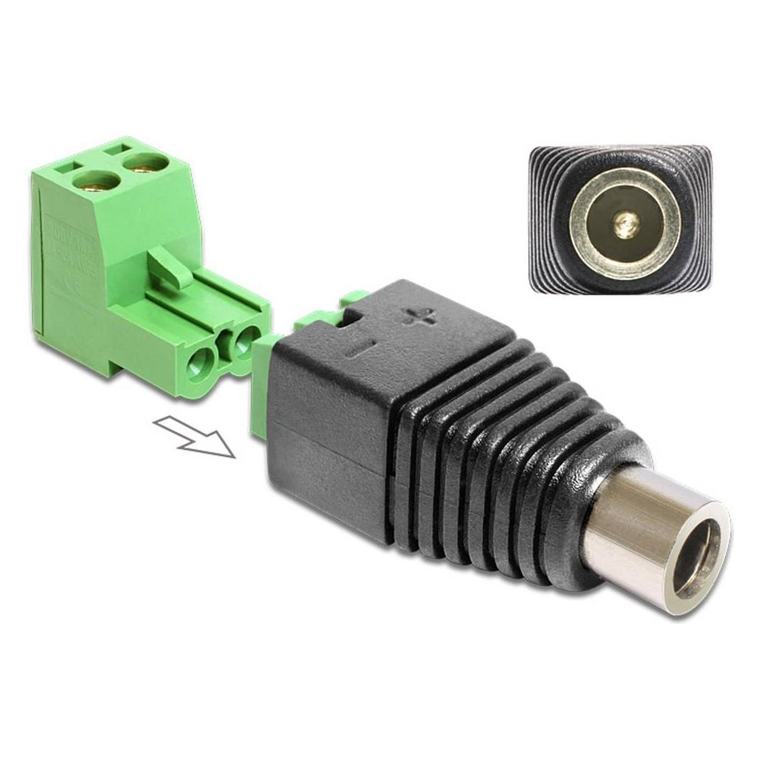 Delock Adapter DC 2,1 x 5,5 mm male > Terminal Block (65423)