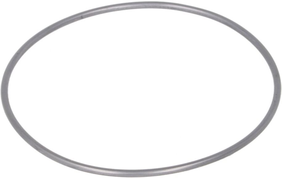 Zapfwelle ZF 0501320483