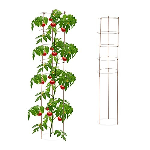 Relaxdays Tomatensteun set van 2, bruin, Hoogte: 150 cm