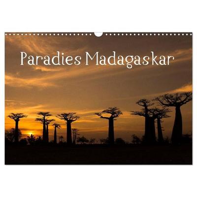 Paradies Madagaskar (Wandkalender 2027 DIN A3 quer), CALVENDO Monatskalender