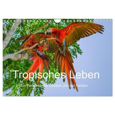 Tropisches Leben Ein Paradies des Lebens und der Farben (Wandkalender 2027 DIN A4 quer), CALVENDO Monatskalender