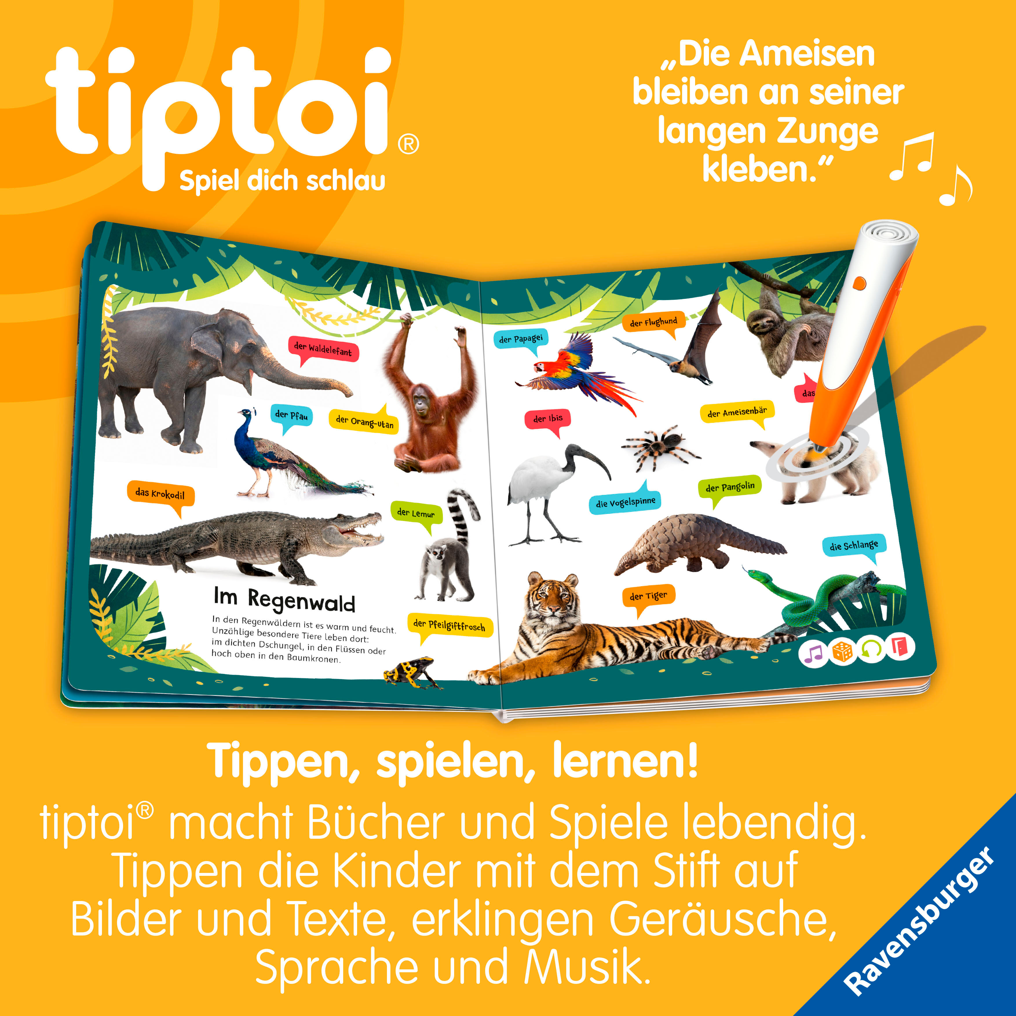 Kinderbuch RAVENSBURGER "tiptoi Kennst du diese Tiergeräusche?", bunt (weiß, neutral), B:23,5cm H:27cm, Bücher, Kinderbuch, Made in Europe