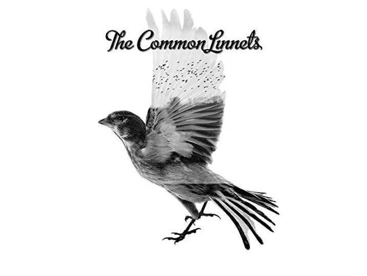 The Common Linnets - The Common Linnets