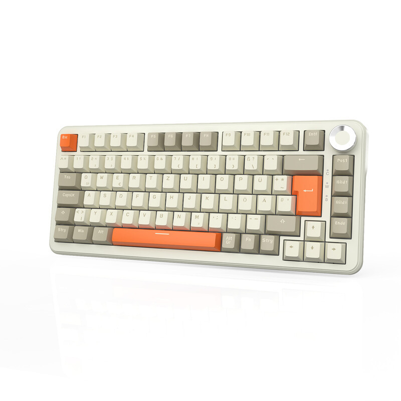 AJAZZ AK820 MAX Draadloos Mechanisch Gamingtoetsenbord met Flying Fish Switches, QWERTZ Lay-out, RGB en 8000 mAh Batterij