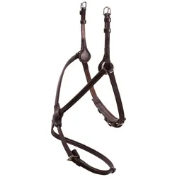 Reithalfter SP Rio Select mexikanisch