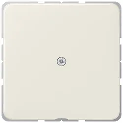 Jung Leitungsauslass ws 590 A
