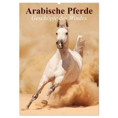 Arabische Pferde • Geschöpfe des Windes (Wandkalender 2027 DIN A2 hoch), CALVENDO Monatskalender