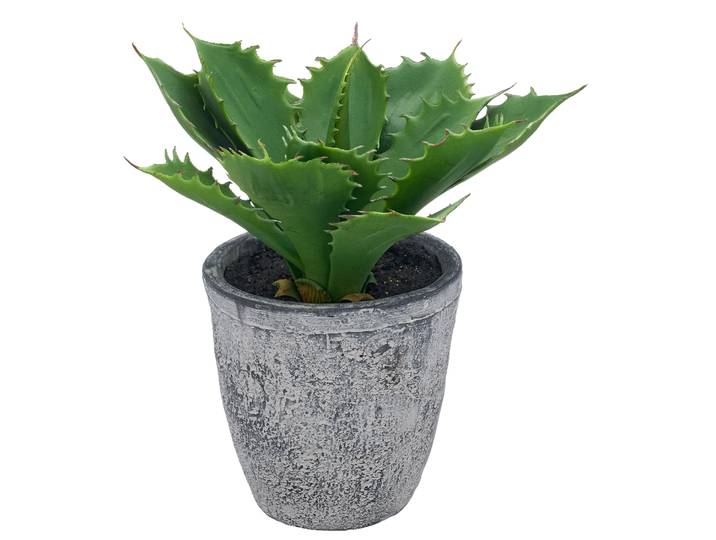 Kunstpflanze CREATIV GREEN Echeveria , grün, H:25cm, Kunststoff, Kunstpflanzen, Kunstpflanze, mit naturgetreuem Blattwerk