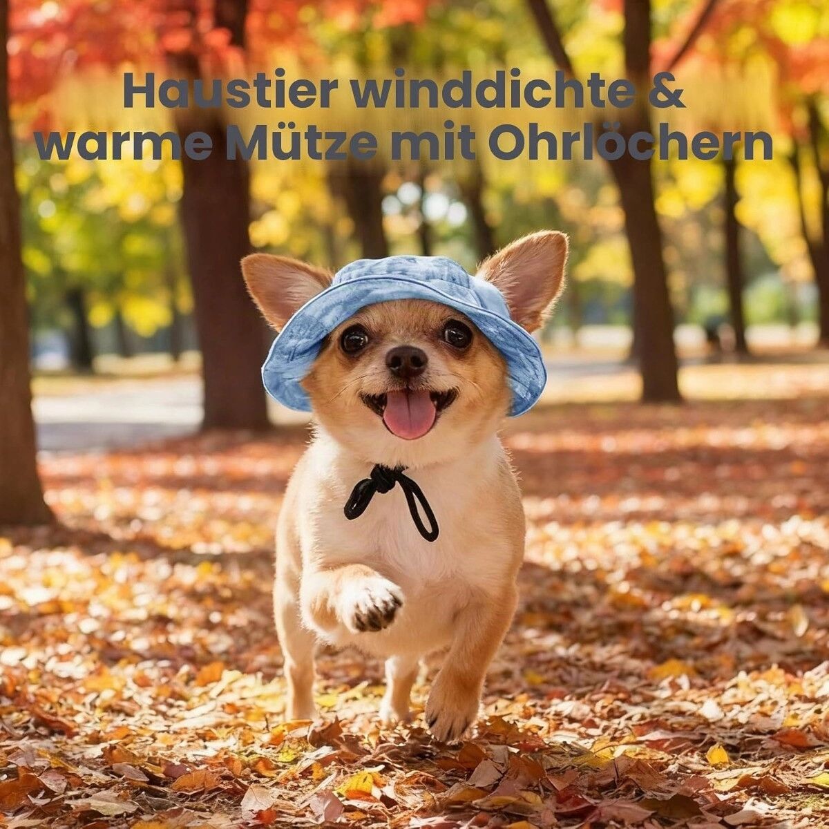 INF Haustier-Eimerhut 2er-Set - Verstellbares Kinnband Polyester Sonnenschutz für Hunde und Katzen, Blau S
