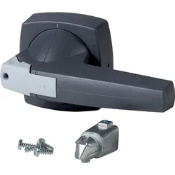 Eaton 1818069 Knebel, 10 mm, K3, Türeinbau, grau, Bügelschloss K3DG/P