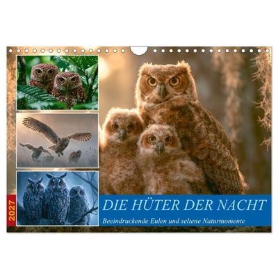 Hüter der Nacht (Wandkalender 2027 DIN A4 quer), CALVENDO Monatskalender