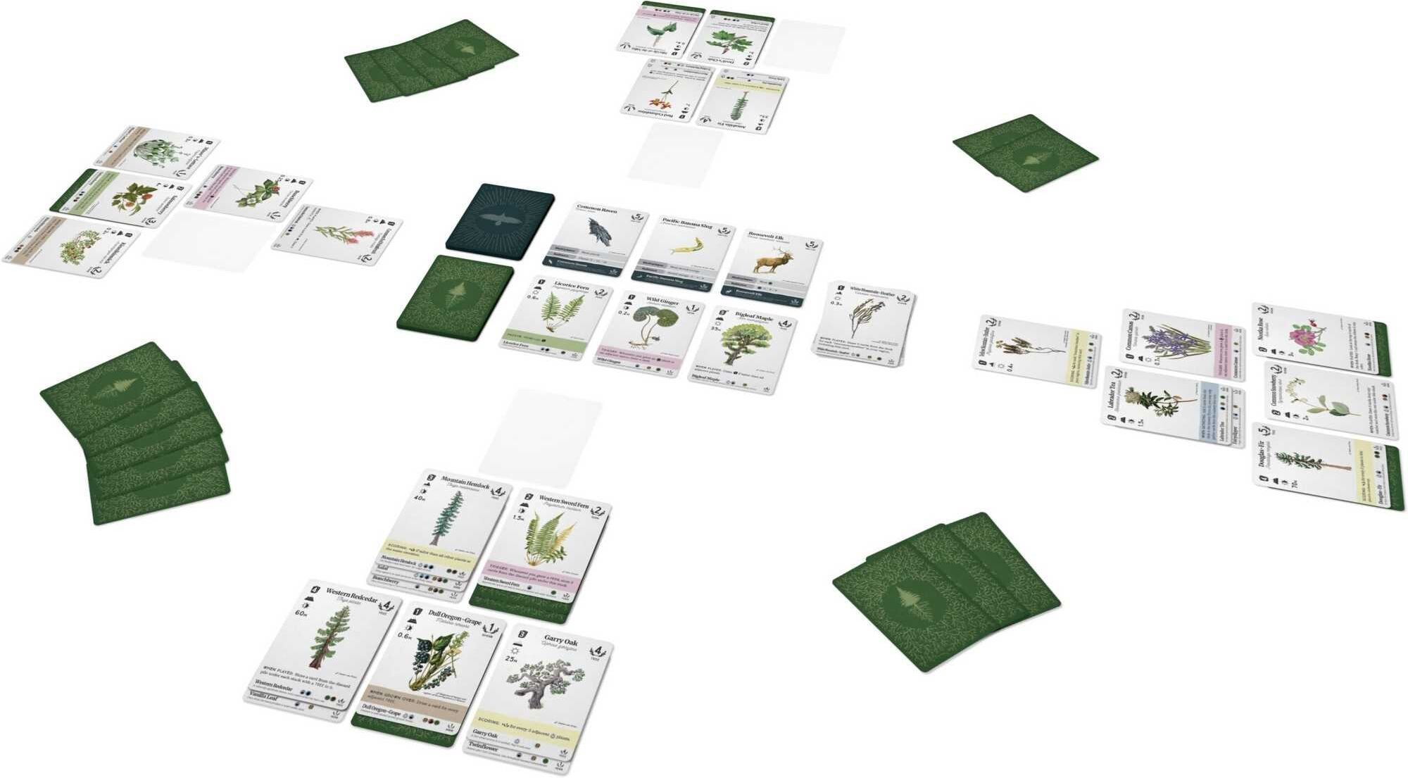 Reforest: Plants of the Pacific Northwest Coast Card Game by Firestarter Games - Strategic Card Game with Light Engine-Building for 1-4 Players