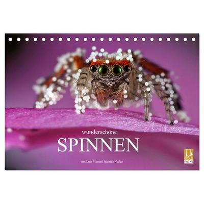 Wunderschöne Spinnen (Tischkalender 2027 DIN A5 quer), CALVENDO Monatskalender