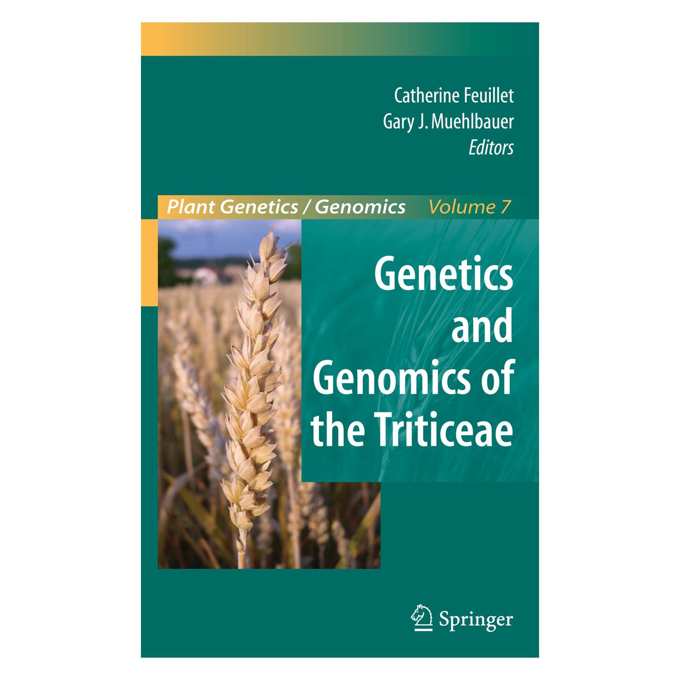 Springer Genetics and Genomics of the Triticeae (Englisch, Softcover, Catherine Feuillet, Gary J. Muehlbauer) (55528146)