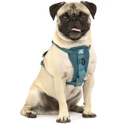 Kurgo Tru-Fit Autosicherheitsgeschirr für Hunde, Größe XS, Tintenblau