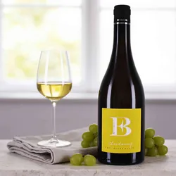Emil Bauer & Söhne 2024 Emil Bauer Chardonnay Nussdorf trocken 2024 Chardonnay Deutschland