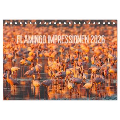 Flamingo Impressionen 2026 (Tischkalender 2026 DIN A5 quer), CALVENDO Monatskalender