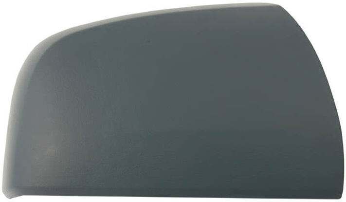 TYC 325-0140-2 Wing mirror cover