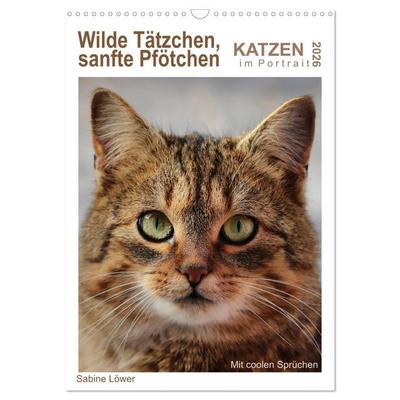 Wilde Tätzchen, sanfte Pfötchen (Wandkalender 2026 DIN A3 hoch), CALVENDO Monatskalender