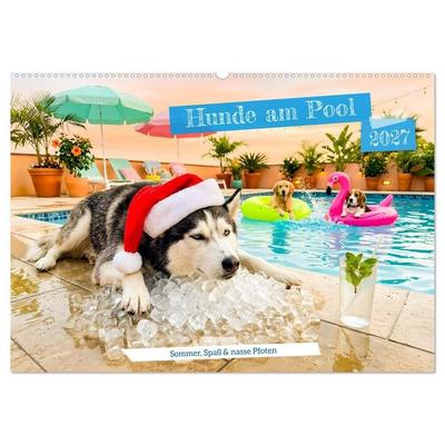 Hunde am Pool - Sommer, Spaß und nasse Pfoten (Wandkalender 2027 DIN A2 quer), CALVENDO Monatskalender