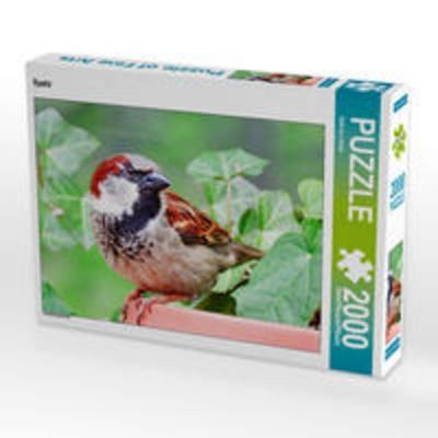 CALVENDO Puzzle Spatz 2000 Teile Puzzle quer | 2000 Teile Lege-Größe 90 × 67 cm Foto-Puzzle für glückliche Stunden