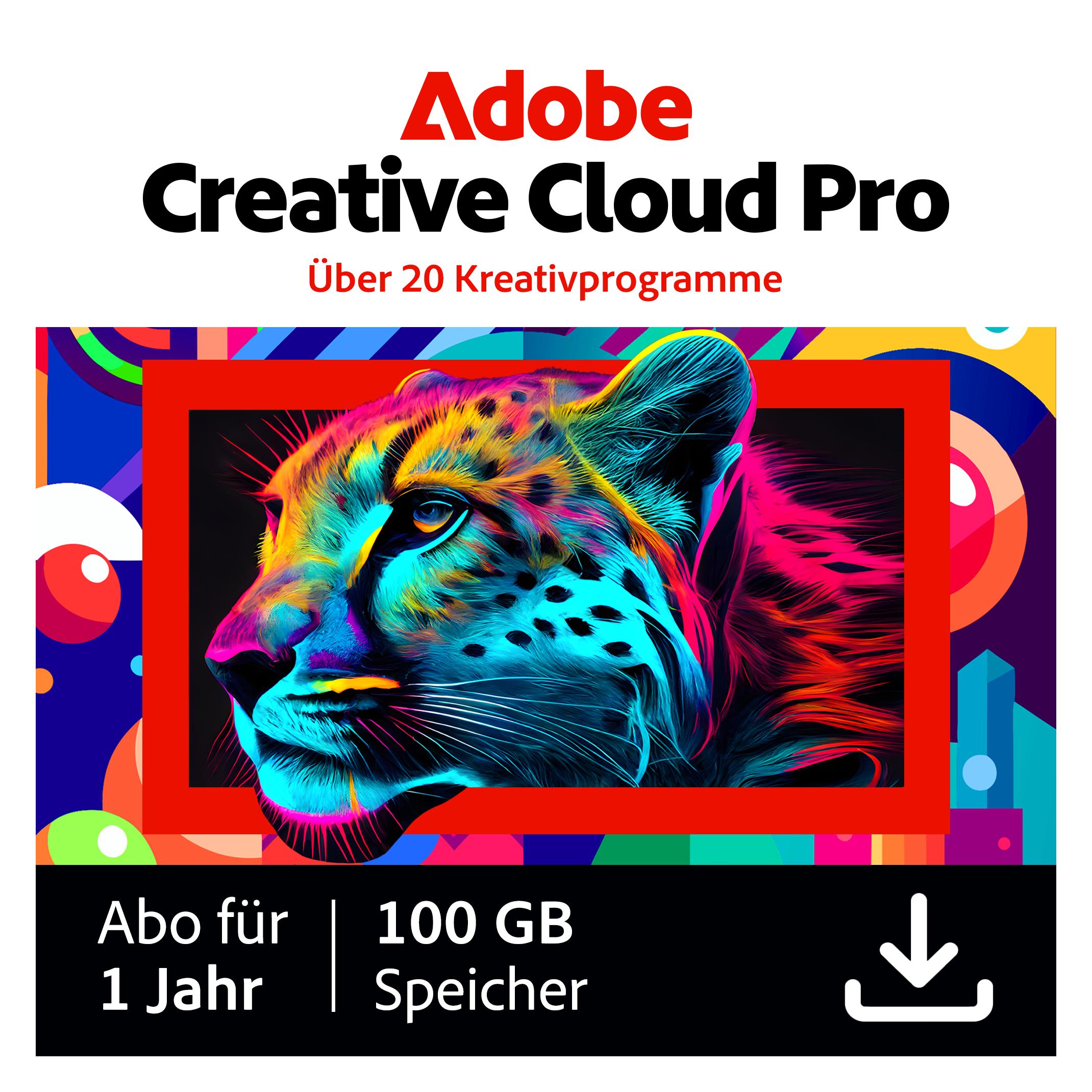 Adobe Creative Cloud Pro (1 User, 1 Geräte/User, 12 Monate) (65300197)
