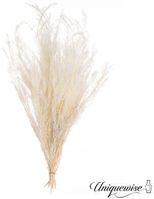 Uniquewise Preserved Real Floral Stems Chic Vase Fillers & Accents for Bouquets Centerpieces & Ornamental Displays