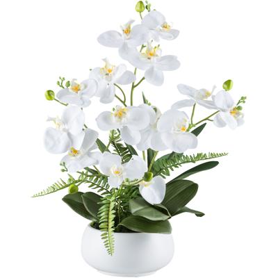 Kunstorchidee CREATIV GREEN "Orchidee Phalaenopsis", weiß, H:55cm, Kunststoff, Kunstpflanzen, mit Farnzweigen