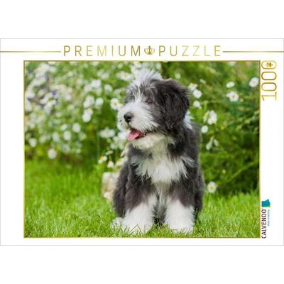 CALVENDO Puzzle Bearded Collie Welpe | 1000 Teile Lege-Größe 64x48cm Foto-Puzzle für glückliche Stunden