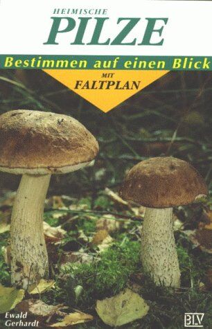 Ewald Gerhardt - Heimische Pilze. Bestimmen auf einen Blick mit Faltplan - Preis vom 09.10.2026 07:28:09 h