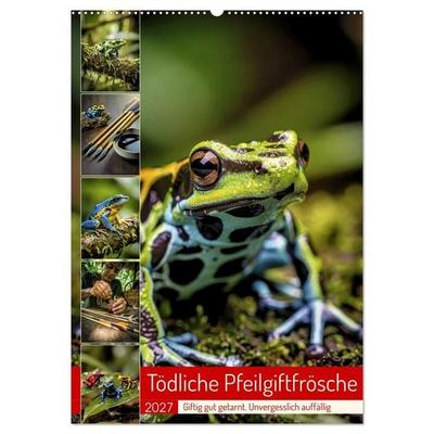Tödliche Pfeilgiftfrösche (Wandkalender 2027 DIN A2 hoch), CALVENDO Monatskalender