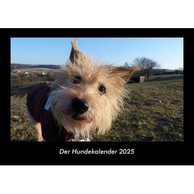 Der Hundekalender 2025 Fotokalender DIN A3