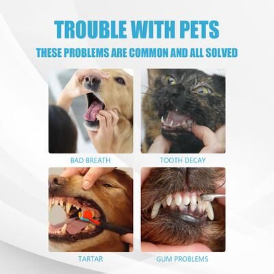 Happy Pet Pantry Edible Pet Toothpaste For Dogs & Cats Dog Toothpaste, Cat Toothpaste, Oral Care Formula Edible Pet Toothpaste For Dogs & Cats Dog Toothpaste, Cat Toothpaste, Oral Care Formula