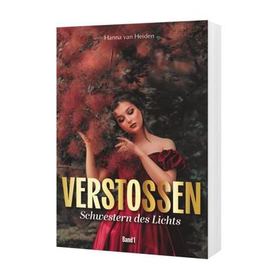 Schwestern des Lichts, Taschenbuch von Hanna van Heiden, Deutscher Literatur Verlag, 978-3-691-16003-1