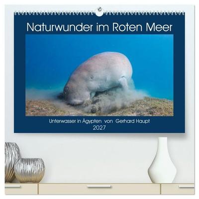 Naturwunder im Roten Meer (hochwertiger Premium Wandkalender 2027 DIN A2 quer), Kunstdruck in Hochglanz