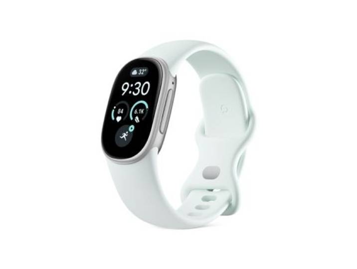 Google - Tracker D'activité Fitbit Edge Argent / Brume