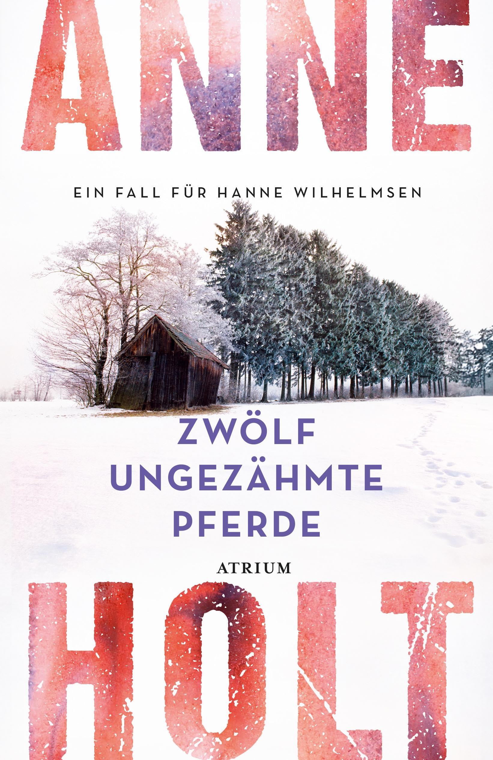 Anne Holt - Zwölf ungezähmte Pferde: Ein Fall für Hanne Wilhelmsen - Preis vom 16.10.2026 11:41:07 h