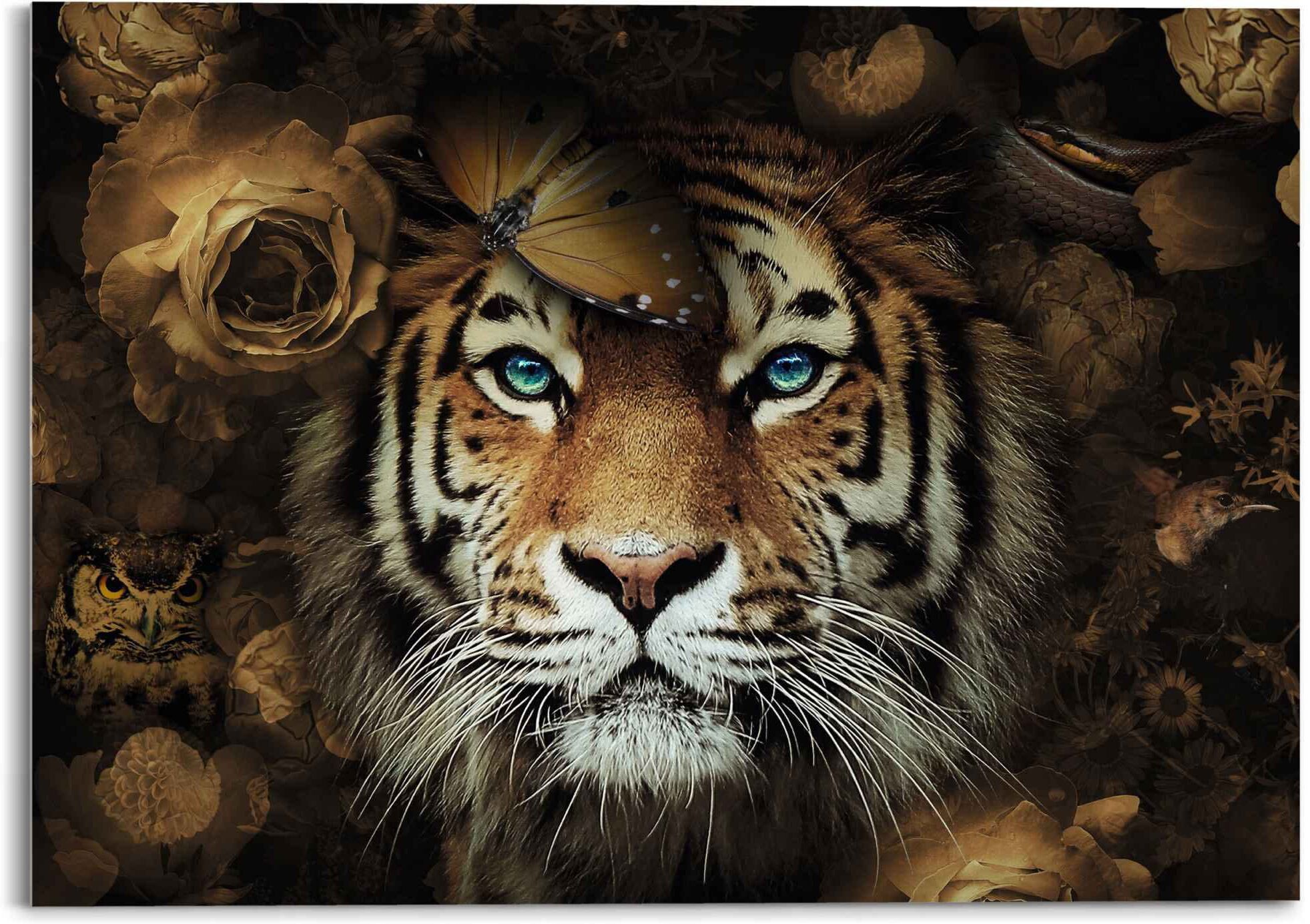 Reinders! Glasbild REINDERS "Glasbild Tiger Tierreich - Blumen - Herbstfarben - Blaue Augen", braun (farbe bild(er): braun), B:70cm H:50cm, Acrylglas, Bilder, Glasbild farbe bild(er): braun B/H/T: 70cm x 50cm, Tiger, 1 Stk.