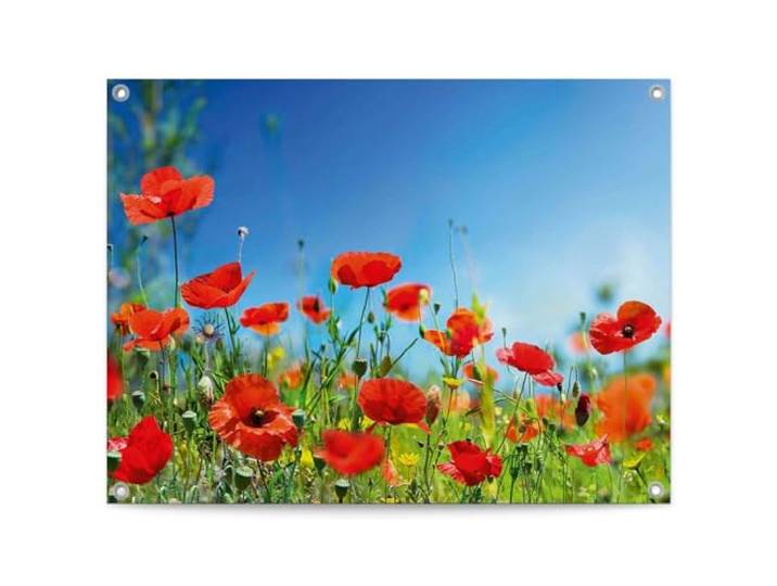 REINDERS Gartendeko, Sommerblumen, Garten, Bilder, Wanddeko, Room Decor, Leinwand, Rot, 60 x 80