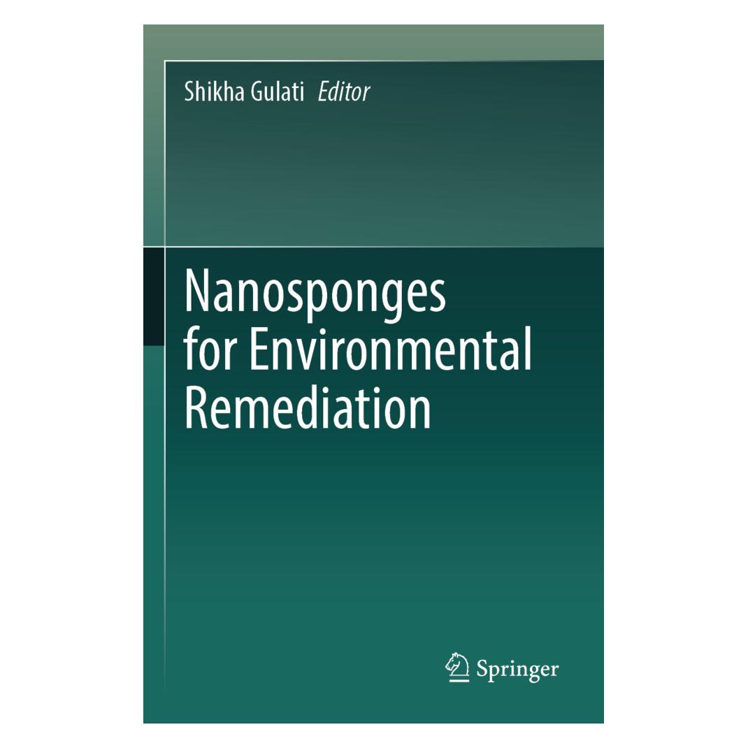 Springer Nanosponges for Environmental Remediation (Englisch, Softcover, Shikha Gulati) (57152399)