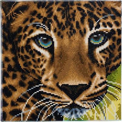 Craft Buddy CAK-A66 - Leopard, 30x30cm Crystal Art Kit, Diamond Painting