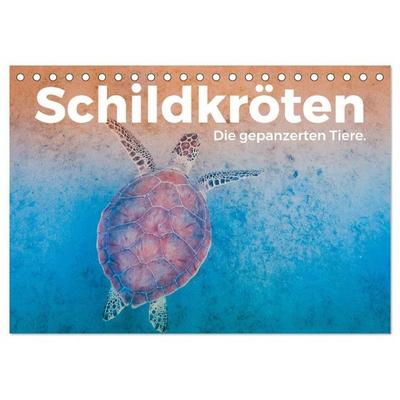 Schildkröten - Die gepanzerten Tiere. (Tischkalender 2027 DIN A5 quer), CALVENDO Monatskalender