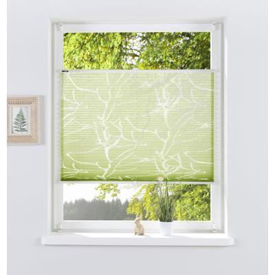 Plissee OTTO HOME "Anna, ohne Bohren, Lichtschutz, transparentes Ästemotiv" Gr. 8, grün, B:110cm H:130cm, Obermaterial: 70% Viskose, 30% Polyester, Plissees, transparentes Ästemotiv, Bestseller, Für Fenster & Tür, Sonnenschutz