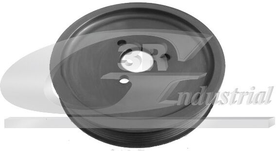3rg Riemenscheibe, Hydraulikpumpe (Niveauregulierung) 10111 Für Bmw